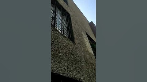 Bharat Bird netting services all Pune