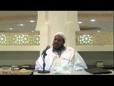 شرح قطر الندى 10 محمد محمود الشنقيطي