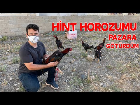 Tavuk Pazarına Hint Horozumu Götürdüm