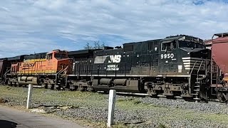 El Potro Salvaje en Impresionante GRANELERO de BNSF N° 5056, FXE 4037 DPUs Mid NS 9950, BNSF 6058 ©®
