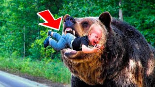 Медведь схватил маленького ребёнка на лесной дороге, а затем произошло что-то шокирующее!