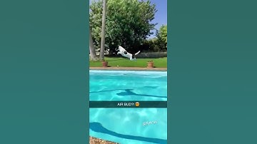 The dog took flight 😳