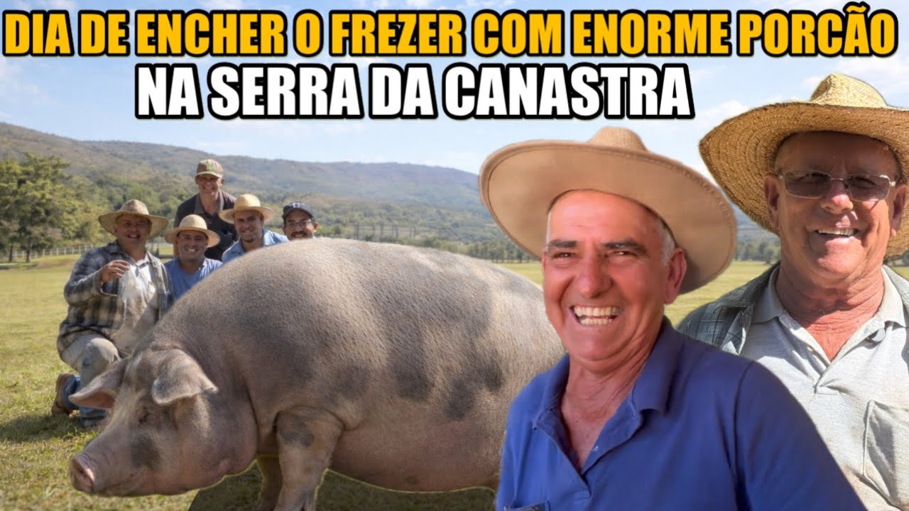O PORCO DE 20 ARROBA NA SERRA DA CANASTRA - YouTube