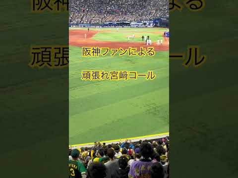 負傷交代の宮﨑選手へ 阪神ファンによる「頑張れ宮﨑コール」 #shorts #阪神タイガース #横浜denaベイスターズ