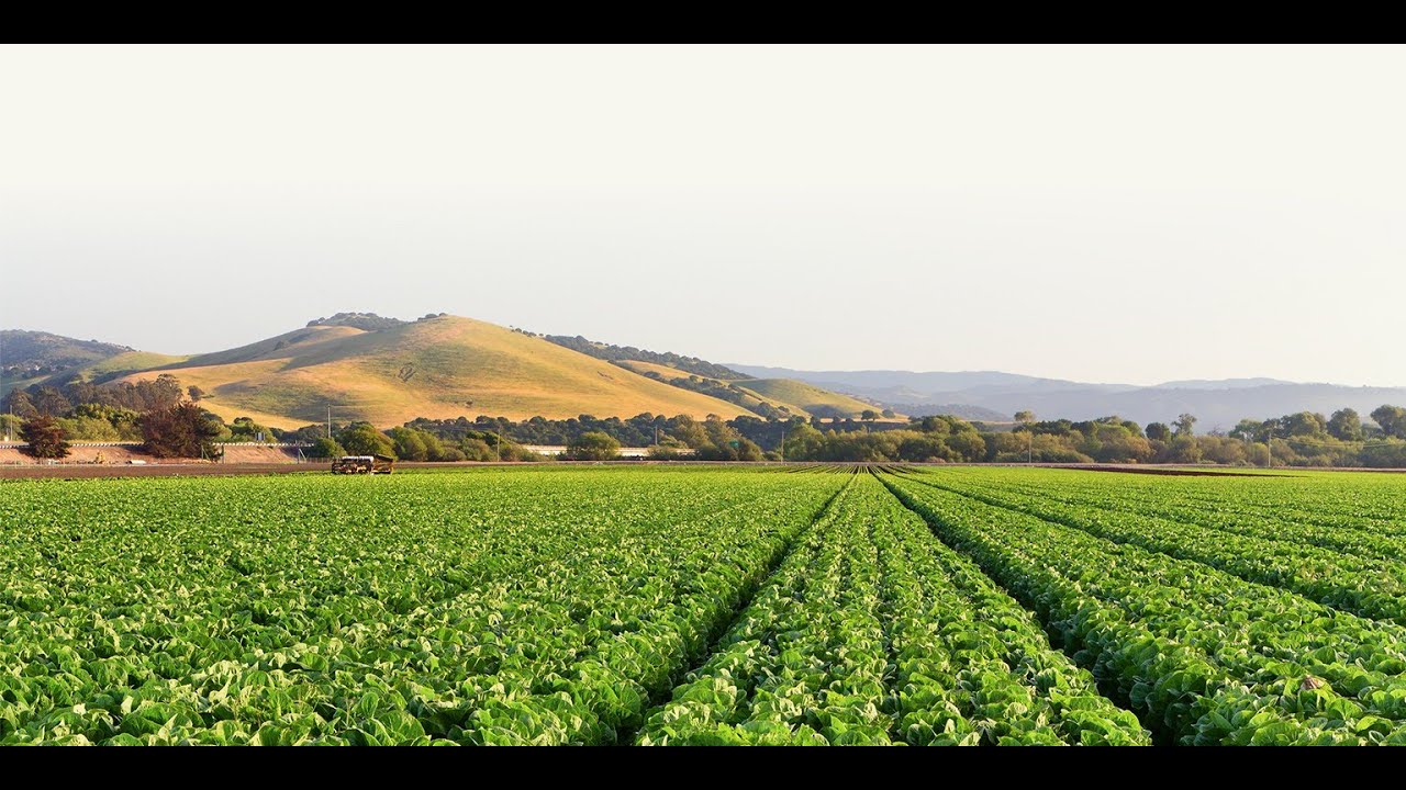 HARVEST to DUM DUM....?????????