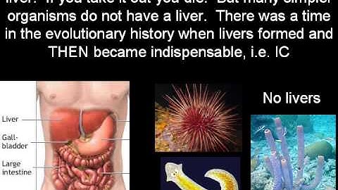 The Evolution of Irreducible Complexity (cdk007 mirror)