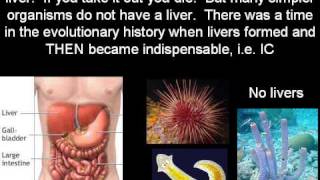 Information The Evolution of Irreducible Complexity (cdk007 mirror) Update