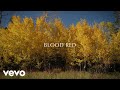 Darren Kiely - Blood Red (Official Lyric Video)
