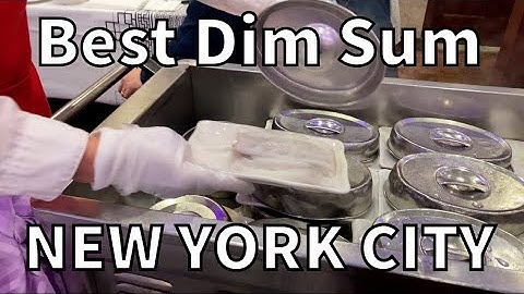 ARCHIVE / CLOSED: Best Dim Sum in New York City! | The Sunshine Seafood Restaurant in Chinatown.