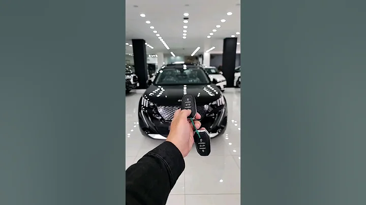 Peugeot 2008 Allure 2023. Ninja SUV - 天天要闻