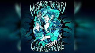 V​A - Mushroom Therapy