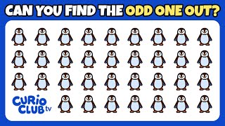 Celebrity Winter Magic Odd One Out ❄️🧩 | Spot the Difference Game for Kids Profile