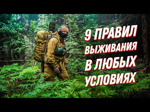 Видео: Какая адаптация может помочь растению выжить в холодные зимы?