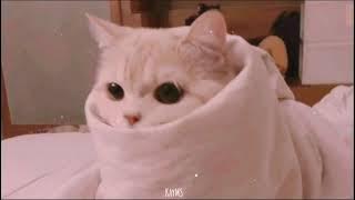 [Vietsub   Lyric] Bukanpho - DJ DESA (remix) |Kay Music