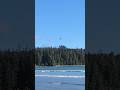 Ocean Hunter Bird Diving for Fish | Fishing Bird Spotted Near Bamfield British Columbia