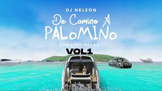 Dj Nelson X Joel Lirica X Dudu Lame - Como Lo Mueve Ft. Alejandro Armes [Official Audio]