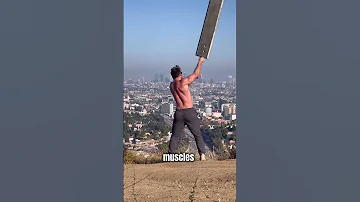 The Training Paid Off 