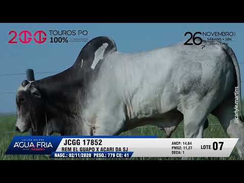 LOTE 07    JCGG 17852