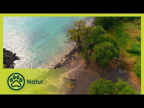 Tanz unter der Sonne | Äquator 360 Die Linie des Lebens 12/12 | Go Wild (Deutsch)