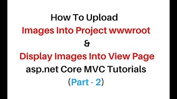 ASP.NET Core MVC Upload And Display Images From wwwroot Path Database