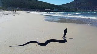 Les 10 Plages Les Plus Effrayantes Qui Existent Vraiment