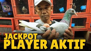 Download Lagu Penurunan Merpati 20 Pasang Serayu BF Tangerang #part1 MP3