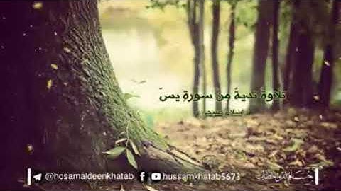 سورة يس بصوت عذب | | حالات واتساب | حالات واتساب دينية|حالات انستا |حالات دينية #القرآن_الكريم