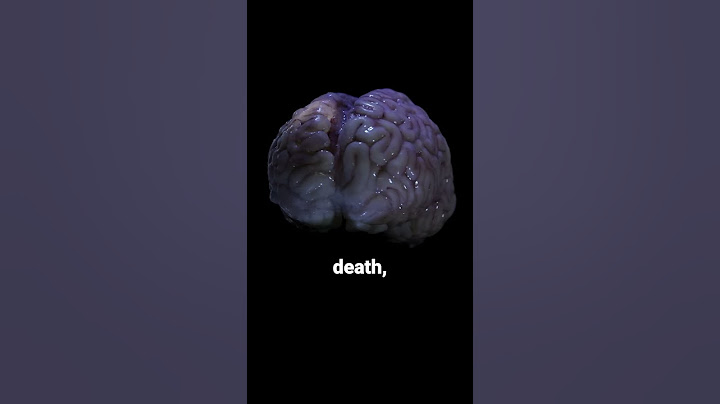 Your brain still works after death