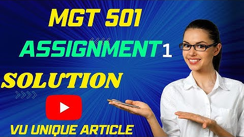 MGT501 Assignment 1 Solution 2023 / MGT501 Assignment 1  Solution Spring 2023/ MGT501 Spring 2023