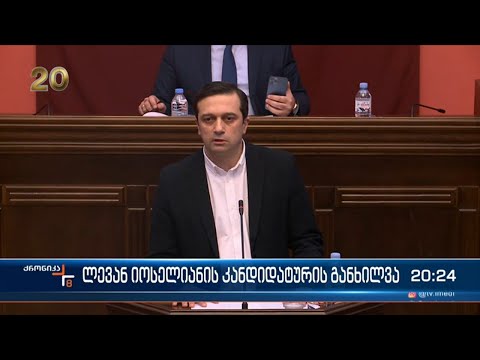 ადამიანის უფლებათა დაცვის კომიტეტმა ლევან იოსელიანის კანდიდატურაზე მსჯელობა მოგვიანებით დაიწყო