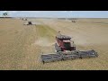 Wheat harvest 2023 near tribune kansas with paplow harvesting