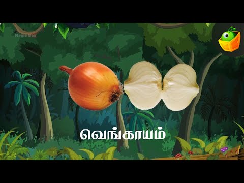 காய்கறிகளின் வகைகள் | காய்கறிகளும் அதன் பெயர்களும் |Learn names of Vegetables |Pre- School Education