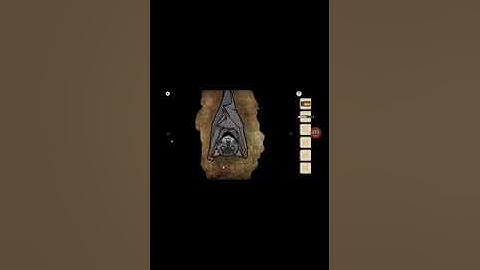 Cube Escape the cave