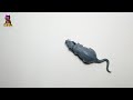 (4K)😺고양이가 반응하는 회색 쥐소리를 들려주세요! (고양이 부르는 영상) /고양이가 좋아하는 음악ㅣ화면ㅣ영상 Cat game, 물고기영상, 풀벌레소리