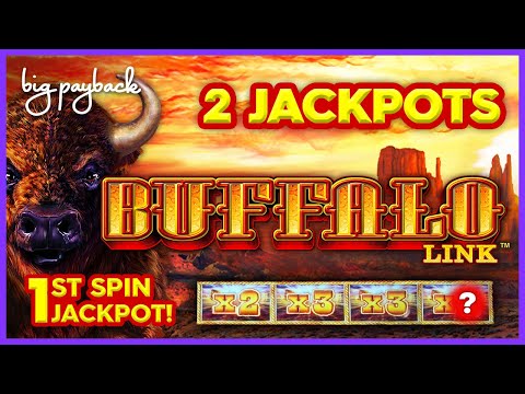 1ST SPIN JACKPOT! Buffalo Link Slot - TWO INCREDIBLE HANDPAYS!!