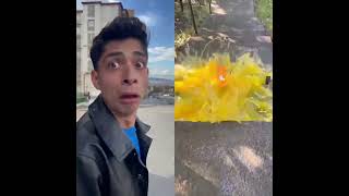 حرامي + نصاب 😂..#نزار_الحموي #ضحك #funny #ام_سيف #جيفارا_العلي #shortvideo