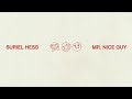 Suriel Hess - Mr. Nice Guy (Official Audio)