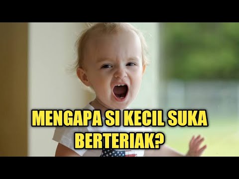 Video: Mengapa Bayi Menjerit Dan Kanak-kanak Berubah-ubah