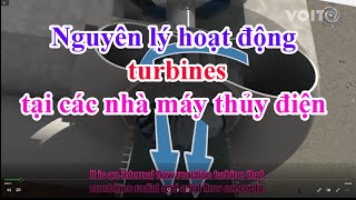 Các Loại Turbine Được Sử Dụng Hiện Nay tại các Nhà Máy Thủy Điện(turbines hydropower)