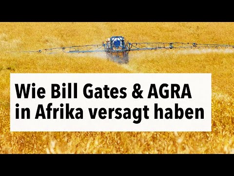 Wie Bill Gates & die Agribusiness Alliance for a Green Revolution in Afrika versagt haben