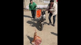 #funny #comedy #vegetables #food #memes