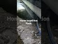 For your PROTECTION, get an INSPECTION! 🕵️♂️ Active sewer line leakage observed in crawlspace.