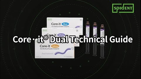 [SPIDENT] Technical Guide - Core.it dual