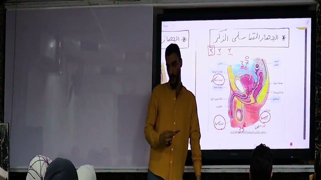 ٣ث | محاضره ٩ |  مراجعه التكاثر  😍❤️  | 