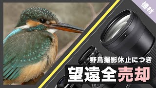 望遠レンズ全部売る！(売った！)〜その理由とお休み中の野鳥撮影〜