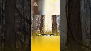 Unforgettable Encounter ✨ First Vision