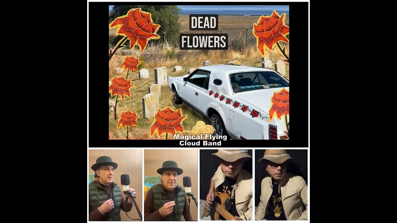 Dead Flowers (Cover/Townes Van Zandt/Rolling Stones) YouTube