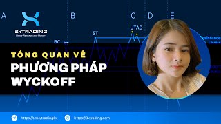 Tổng Quan Phương Pháp WYCKOFF - 8xTrading