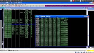 028 Heap Overflows   Part 4