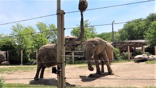 More Memorial Day Weekend fun: Hanging out at the Cleveland Zoo